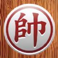 play pix casino截图